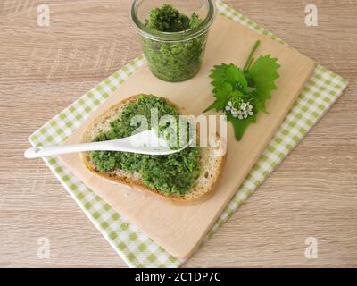 Homemade garlic mustard pesto on baguette Stock Photo