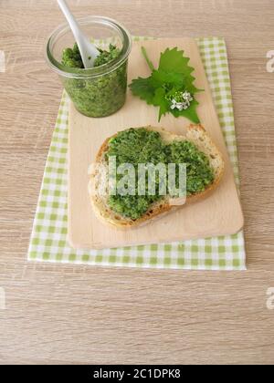 Homemade garlic mustard pesto on baguette Stock Photo