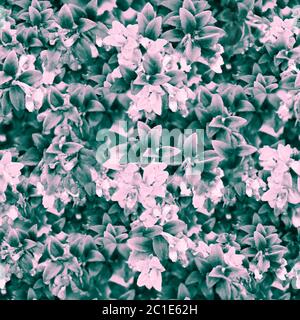 Floral Collage Seamless Pattern Stock Photo