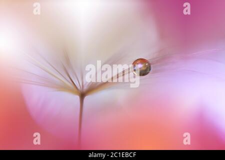 Incredibly beautiful Nature. Art photography. Floral fantasy design. Abstract macro, closeup, water drops.Colorful Background. Web Banner. Stock Photo