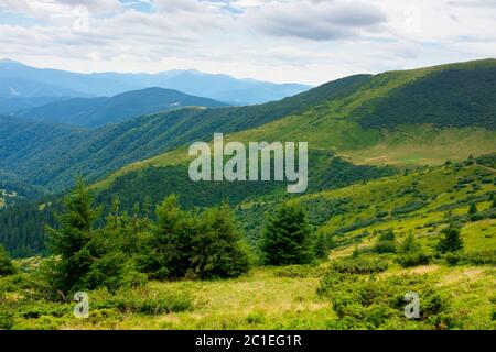 summer landscape of valley in mountains. trees and green meadows on rolling hills. black ridge in the distance. beautiful nature of carpathians. cloud Stock Photo