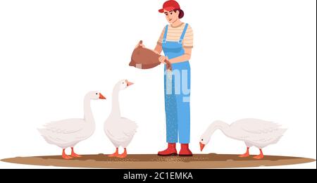 Poultry pasture semi flat RGB color vector illustration Stock Vector