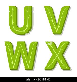 Vector green eco alphabet. Perfectly suited for healthy restaurants and green brands, like vegan places, cooking website, veggie recipes blog. Font fo Stock Vector