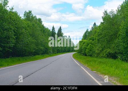 Empty asphalt road empty road between green trees in Russia, summer landscape Stock Photo