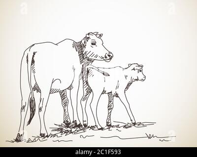 Sketch of cow and calf, Hand drawn vector illustration Stock Vector