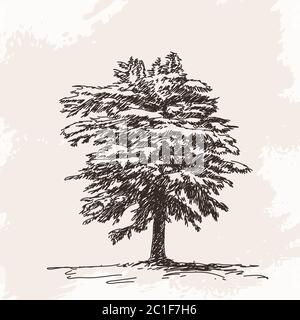 Pine tree hand drawn sketch retro, vintage Seamless Pattern. Vector ...