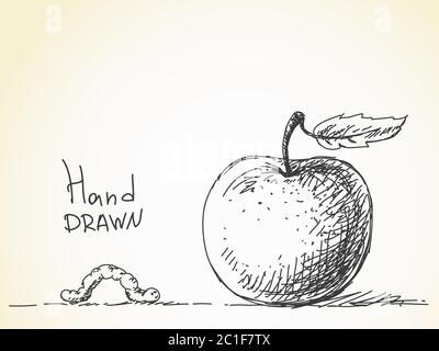 Worm and apple, Vector sketch, Hand drawn illustration Stock Vector