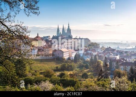 Prague Castle, St. Vitus cathedral and the UNESCO heritage site of the old city center with red rooftops captured behind blooming apple orchard from S Stock Photo