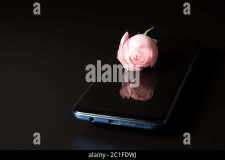 Pink rose and its reflection on the phone on a black background, side view. Stock Photo