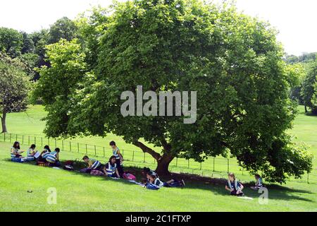 School children studying in the Kenwood Park England Stock Photo