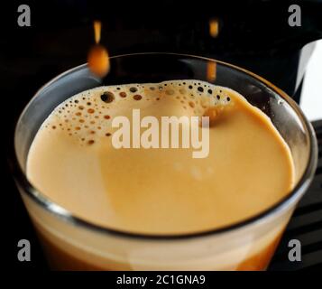 Close-up of fresh espresso coffee, pouring from coffee machine. (Selective shallow focus) Stock Photo