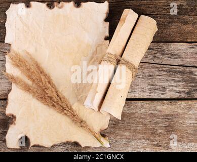 Old paper with the burned edges Stock Photo
