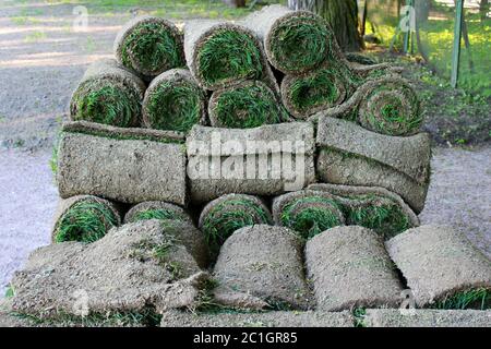 stacks of sod rolls for new lawn in the Gatchina park. Stock Photo