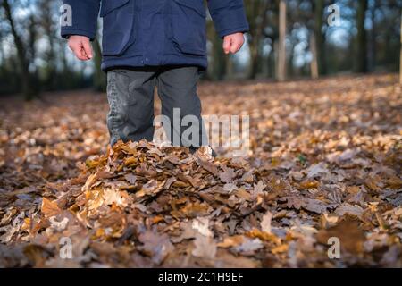 Standing in the fallen autumn leaves Stock Photo