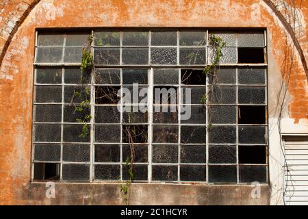 Old broken window glass on orange brick wall Stock Photo