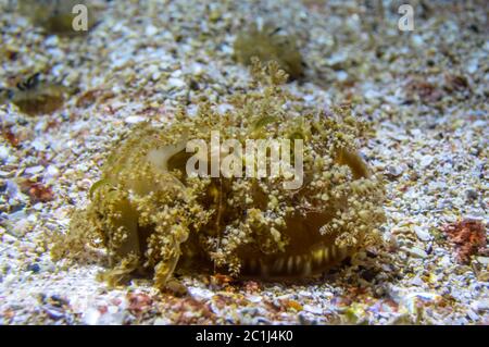 Jeddah, Saudi Araiba Stock Photo