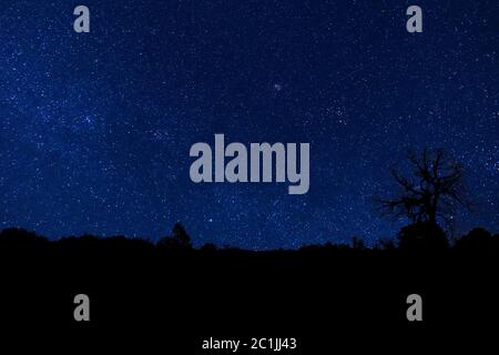 Blue clear night with stars Stock Photo