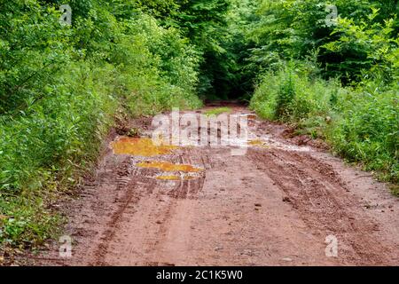 Rural Dirt Road With Puddles After Rain Stock Photo