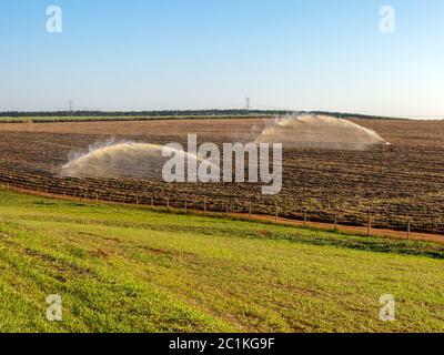 Sugar cane planting irrigation in Brazil Stock Photo