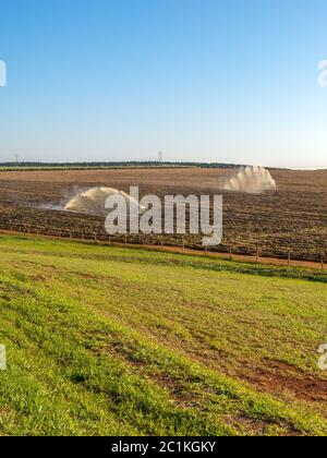 Sugar cane planting irrigation in Brazil Stock Photo