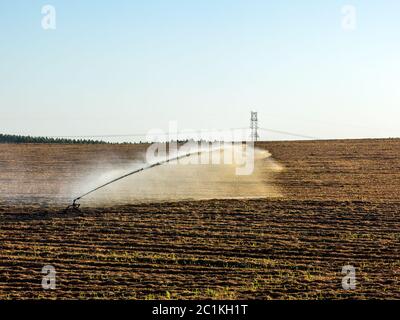 Sugar cane planting irrigation in Brazil Stock Photo