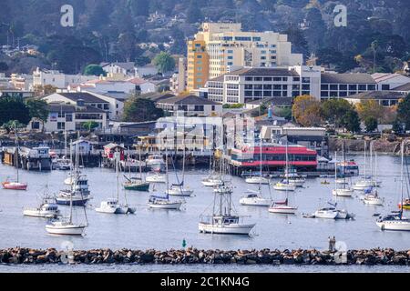 Yacht Basin in Monterey Stock Photo