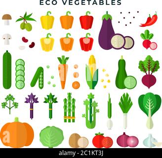 Eco vegetables, colorful flat style set. Fresh organic food. Vector illustration, isolated on white. Stock Vector
