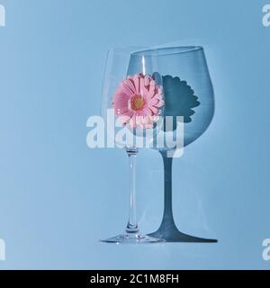 Pink gerbera in a glass on a blue background. Spring concept Stock Photo