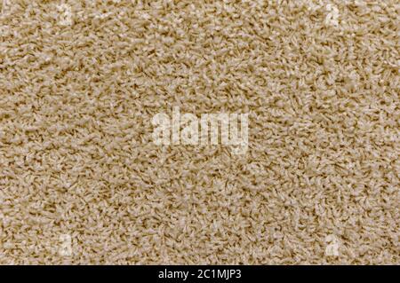 Close-up of the light brown carpet texture background in the meeting room Stock Photo