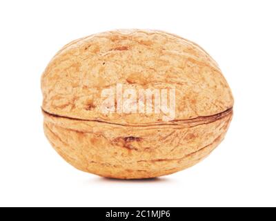 Single Walnut In A Shell Stock Photo
