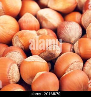 Hazelnuts In A Shell Background Stock Photo