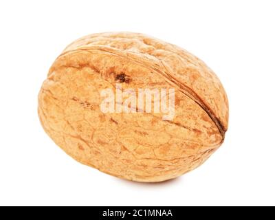 Single Walnut In A Shell Stock Photo