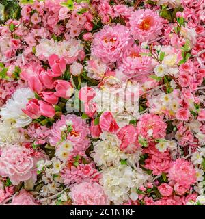 Abstract background of flowers Stock Photo