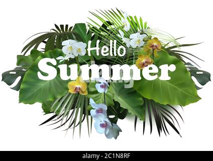 Summer Tropical Banner or Flyer Design Stock Photo