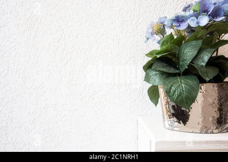 blue Hydrangea flowers in a pot on a white background on wooden shelve Stock Photo