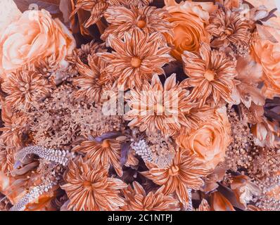 Abstract background of flowers Close-up Stock Photo