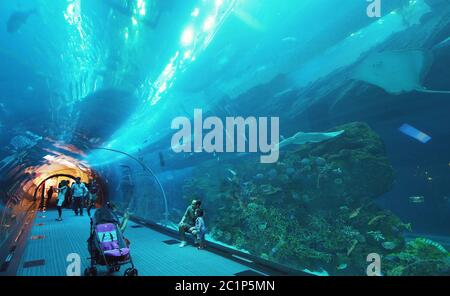 People admire the marine life in the glass tunnel of the Aquarium in Dubai Mall Stock Photo