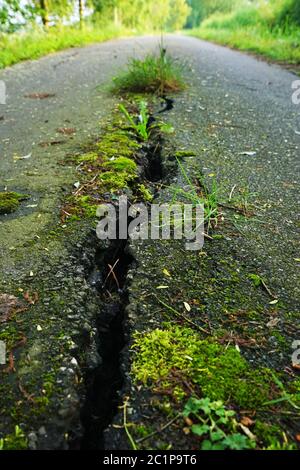 Wide crack in a road in summer Stock Photo