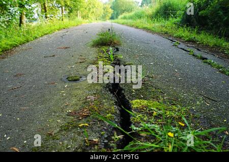 Wide crack in a road in summer Stock Photo