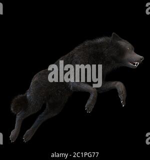 Digital 3D Illustration of a Wolf Stock Photo