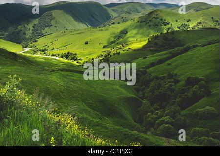Sunny Summer Landscape with Hill and Meadow with trees Stock Photo