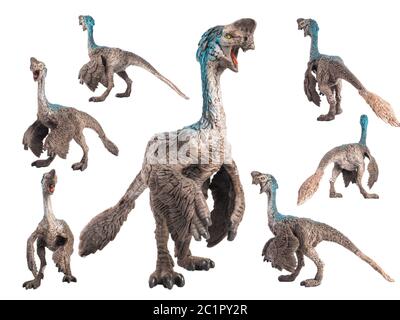 Oviraptor Dinosaur on white background  . Stock Photo