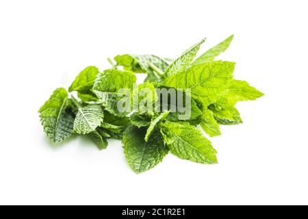 Green mint leaves isolated on white background. Stock Photo