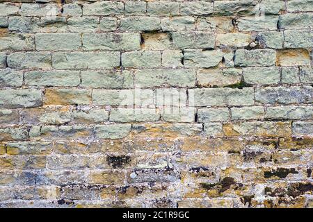 Background from an old green brick wall with some mould Stock Photo
