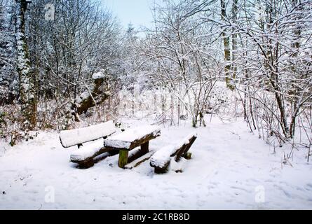 Park bench and trees covered by heavy snow. Lots of snow.Sunset time ...