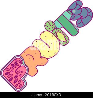 vector cute handdrawn fruits text. cartoon logo Stock Vector