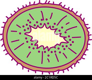 vector cute drawn fruit clipart cut kiwi Stock Vector