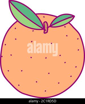 vector cute drawn fruit clip art citrus Stock Vector
