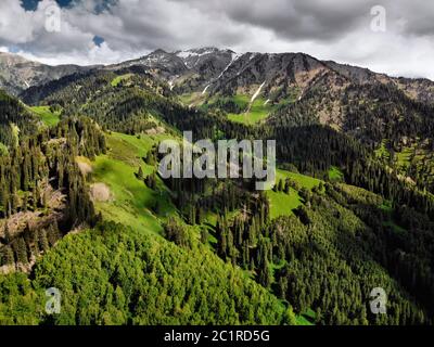 Aerial view of pine forest in beautiful mountains at sunny day. Photo taken with Drone Stock Photo