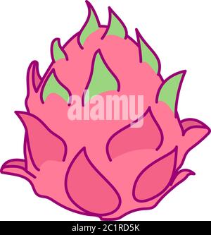 vector cute drawn fruit clipart pitaya dragonfruit Stock Vector